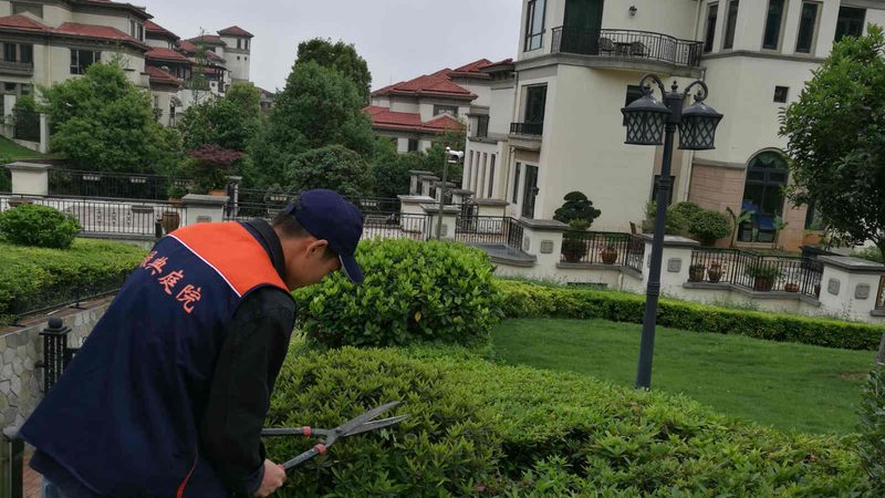 绿化资质分立转让：流程解析与费用考量**
