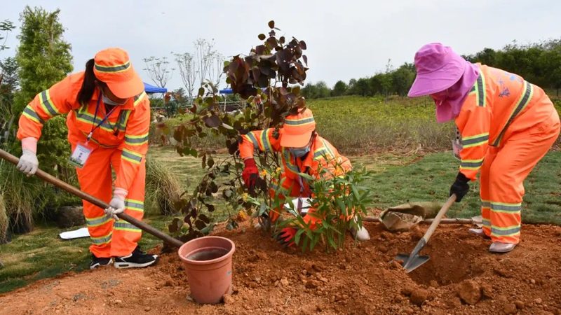 北京道路绿化养护公司如何保障道路绿化的可持续发展