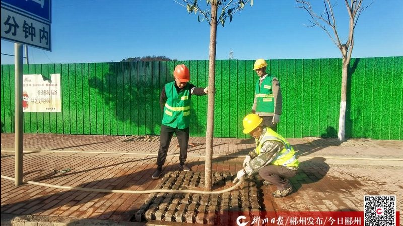 园林景观设计公司报价，揭秘背后的考量因素