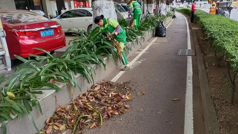高尔夫球场草坪铺设：细节决定成败