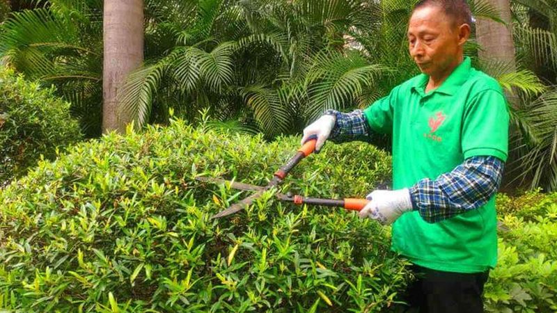 屋顶绿化种植基质安装步骤全解析**