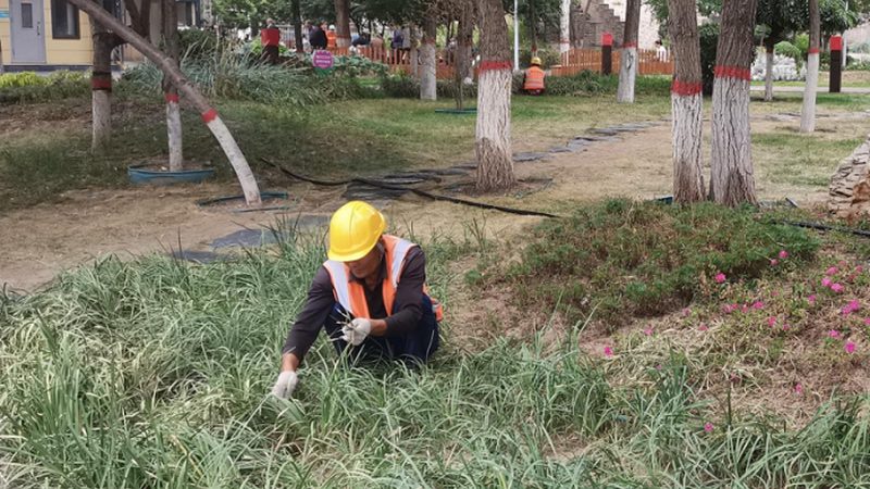 七人制足球场草坪尺寸解析：标准与选择要点