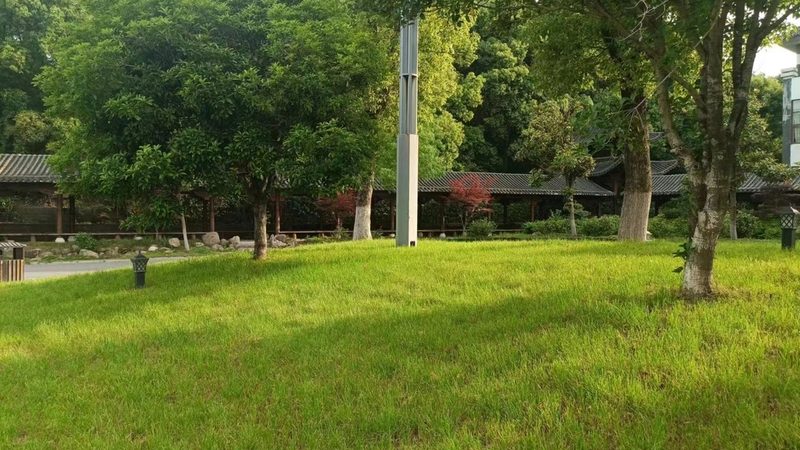 园林绿化公司注册条件：合规之路的五大要素**