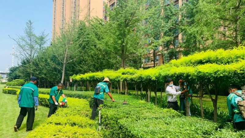 树池尺寸选择：园林工程中的关键一环