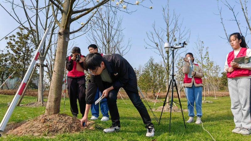 植物墙施工步骤全解析：打造绿色空间的艺术